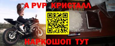 спиды Шелехов
