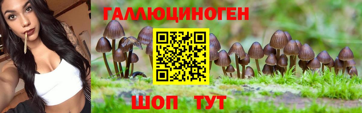 Артёмовский  Галлюциногенные грибы GOLDEN TEACHER  Вход с VPN 